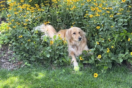 Entry image for Contestant AQ. Clicking this image will show a larger photo