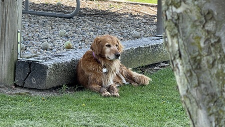 Entry image for Contestant AT. Clicking this image will show a larger photo