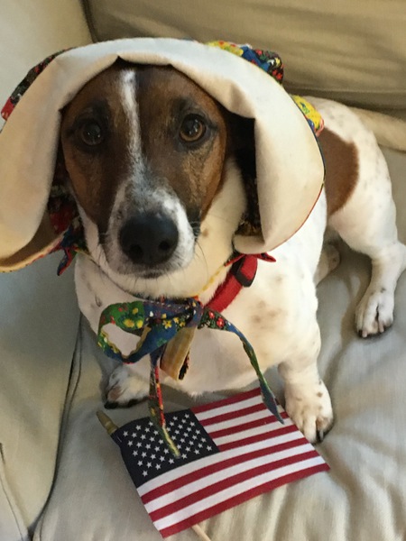 Penny   AKA  Betsy Ross