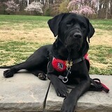Entry image for Pepper