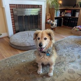 Entry image for Lucy