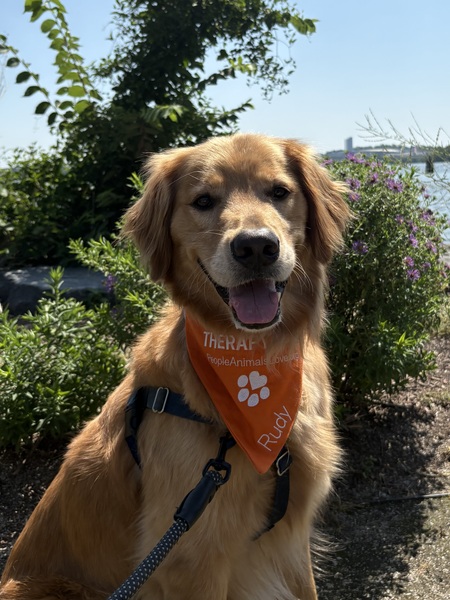 Entry image for Rudy. Clicking this image will show a larger photo