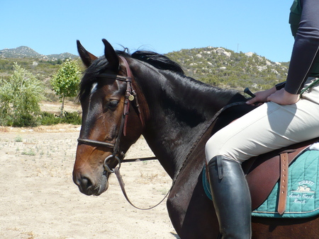 Entry image for "LaVie". Clicking this image will show a larger photo