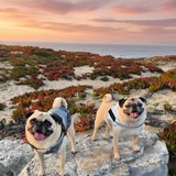 Entry image for Jack & Jill