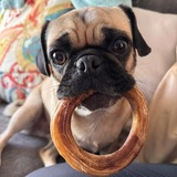 Entry image for Bialy 
