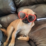 Entry image for Chuggy
