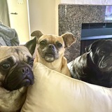 Entry image for The Fantastic Trio (Soupie/Muriel/Lex)