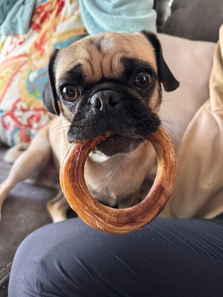Entry image for Bialy . Clicking this image will show a larger photo