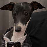 Entry image for Sambuca  “Buca”
