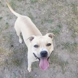 Entry image for Allie 