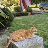 Entry image for Queso