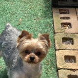 Entry image for Teagan