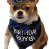 Entry image for Riley 