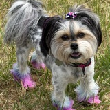 Entry image for Stormi 