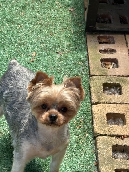 Entry image for Teagan. Clicking this image will show a larger photo