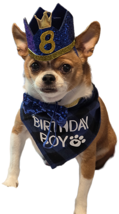 Entry image for Riley . Clicking this image will show a larger photo