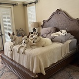 Entry image for Bed Life