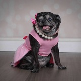 Entry image for Wanda