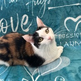 Entry image for Gina