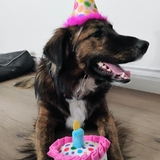 Entry image for Winnie