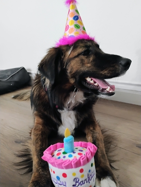 Entry image for Winnie. Clicking this image will show a larger photo