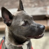 Entry image for Ella