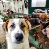 Entry image for Murphy