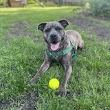 Entry image for Zeus