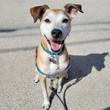 Entry image for Otis