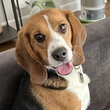 Entry image for Ernie