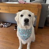 Entry image for Daisy 