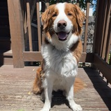 Entry image for Reggie