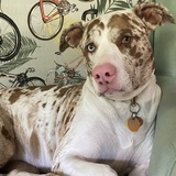 Entry image for Winifred Thursday
