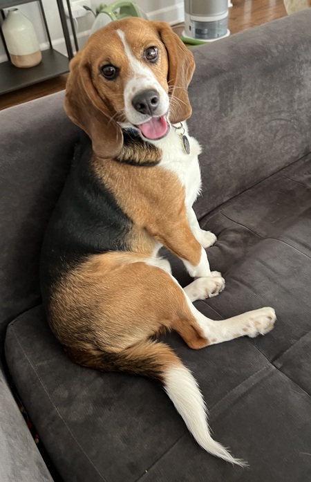 Entry image for Ernie. Clicking this image will show a larger photo