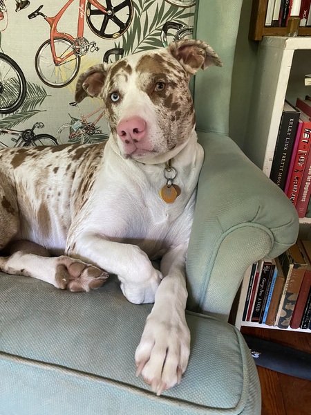 Entry image for Winifred Thursday. Clicking this image will show a larger photo