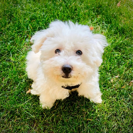 Entry image for Moosh Moosh. Clicking this image will show a larger photo