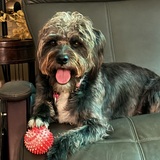 Entry image for Margo