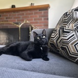 Entry image for Chase
