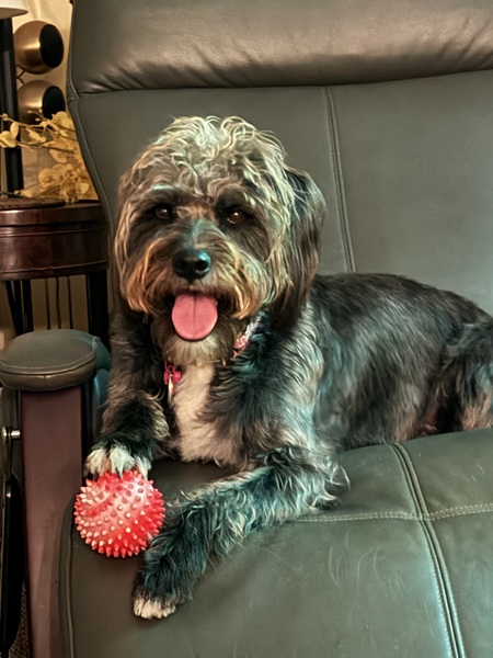 Entry image for Margo. Clicking this image will show a larger photo