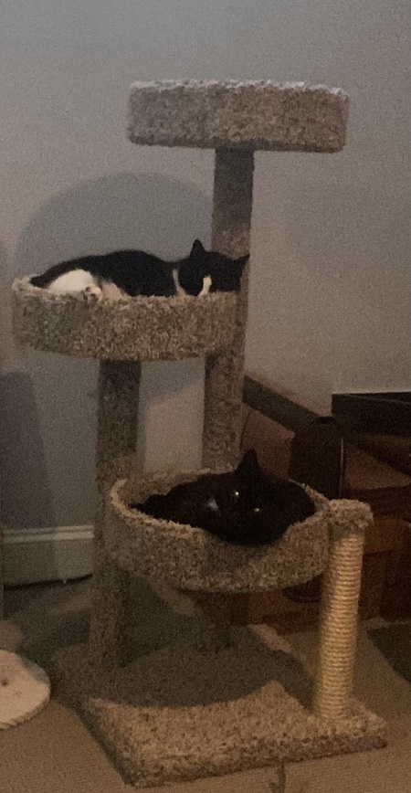 Entry image for Gunther & Chandler. Clicking this image will show a larger photo