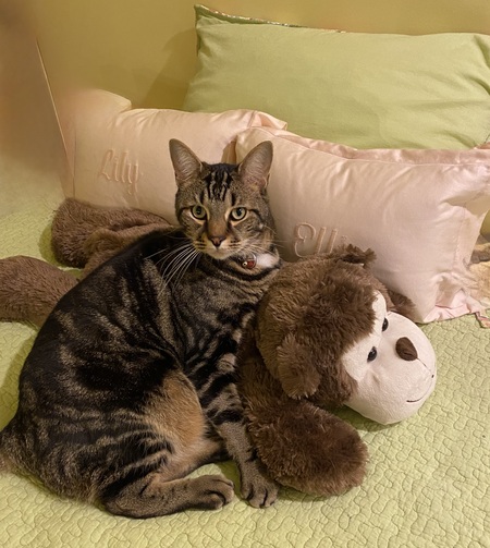Entry image for Buddy. Clicking this image will show a larger photo