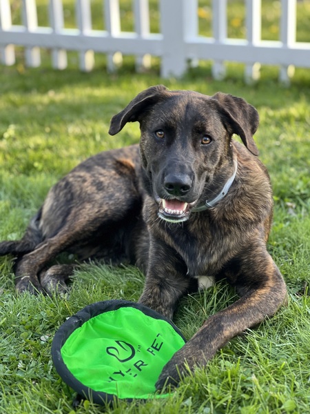 Entry image for Charlie. Clicking this image will show a larger photo