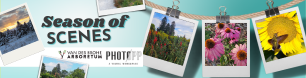 Logo for Season of Scenes by  Photo Opp & VDBA
