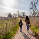 Entry image for A Stroll Through Van de Brohe