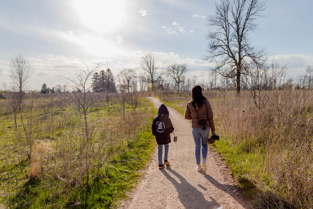 Entry image for A Stroll Through Van de Brohe. Clicking this image will show a larger photo
