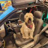Entry image for Louie