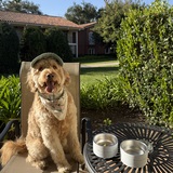 Entry image for Buckets