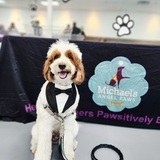 Entry image for Harry