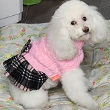Entry image for Daisy Duke