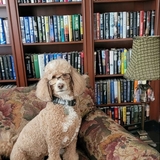 Entry image for Maggie 
